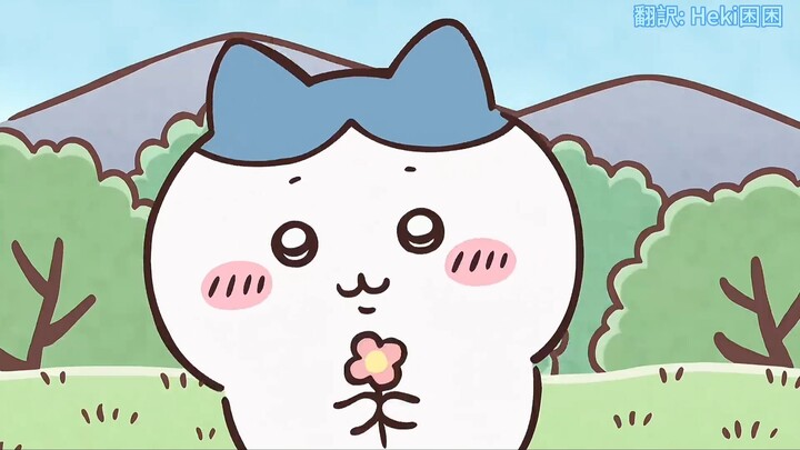 【Chiikawa】啊啊啊啊我要亲死爱唱歌的小八！