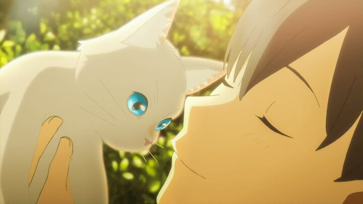 Cats in Anime_360p