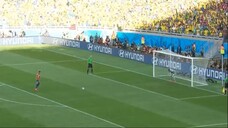 julio cesar copa 2014