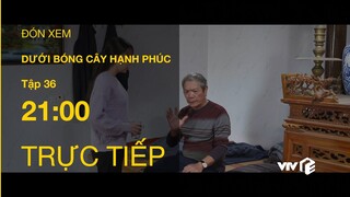 TRỰC TIẾP VTV1 | TẬP 36: Dưới Bóng Cây Hạnh Phúc