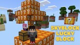 SKYBLOCK LUCKY BLOCK sa Minecraft PE
