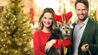 Picture a Perfect Christmas 2019 Hallmark Movie Collection