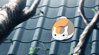 The cat teacher ate the monster fruit greedily and turned into three little cuties