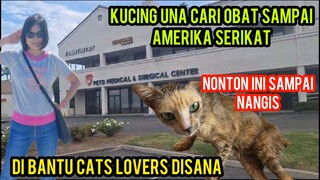 Masya Allah Kucing Una Berobat Sampai california amerika serikat Ini Hasilnya..!