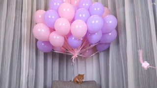 Flying a Cat with Balloons