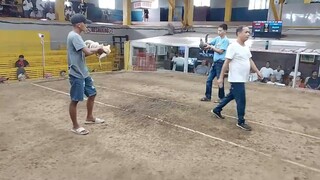 First Fight Double Champion Tanza
