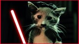 Cat Star Wars, Short Video Clip. 😸