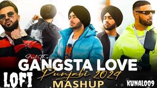 Love Mashup 2024 | New Punjabi Song 2024 | new Punjabi song mashup 2024