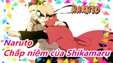 [NARUTO/Buồn] Chấp niệm của Shikamaru Nara đối với Naruto!