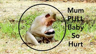 OMG Very Breaking Heart Baby Monkey Was Pulled By Mum, Baby Cry Hurt​ Unhappy Why Mum Do Bad