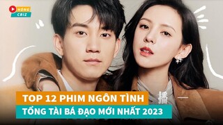 Top 12 phim ngôn tình Tổng Tài Bá Đạo Hoa Ngữ mới đáng xem nhất hiện nay|Hóng Cbiz