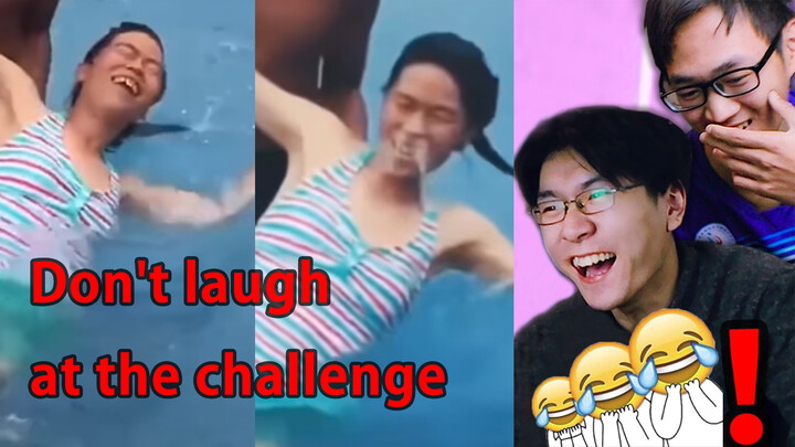 Funny and hilarious video collection