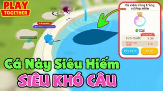 Play Together | Đây Là Con Cá Siêu "HIẾM" Và Siêu "KHÓ CÂU" Cá Xiêm Rồng Trắng | MạnhCFM Gaming