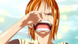 One Piece “Sayang sekali Anda tidak menonton One Piece dan tidak memahami bobot video ini.”