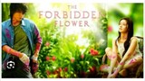 THE FORBIDDEN FLOWER Episode 10 Tagalog Dubbed