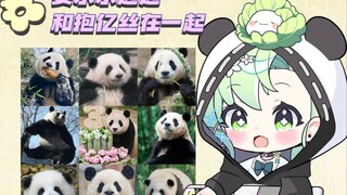 【熊猫鉴赏回】和舰长的欢乐时光记录