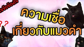 EP17 ไขข้อข้องใจ ความเชื่อเกี่ยวกับแมวดำ