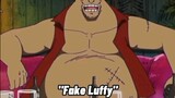 choose fake luffy or the original luffy please comment down below I want to read your comm.