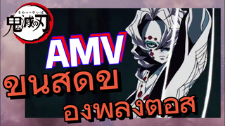 [ดาบพิฆาตอสูร] AMV | ขั้นสุดของพลังต่อสู้