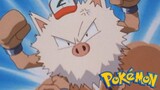 Pokémon Tập 25: Đừng Giận Nhé, Okorizaru! (Lồng Tiếng)
