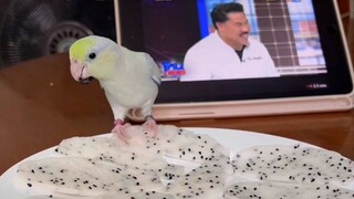 ไก่สารพัดประโยชน์