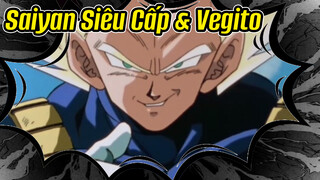 Tôi Là Saiyan Siêu Cấp: Vegito