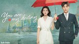 You Are My Destiny (Ni shi wo de ming zhong zhu ding) (2020) Season 1 Episode 30 Sub Indonesia