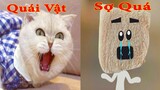 Thú Cưng TV  | Mèo Sam Và Miu #9 | mèo thông minh vui nhộn | Pets funny cute smart cat