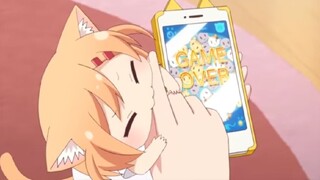 Nyanko Days cute moments 🐱