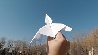 Bisakah Anda melipat pesawat kertas yang begitu sulit? Pesawat Kertas Air Chaser Yang Tidak Terbang 