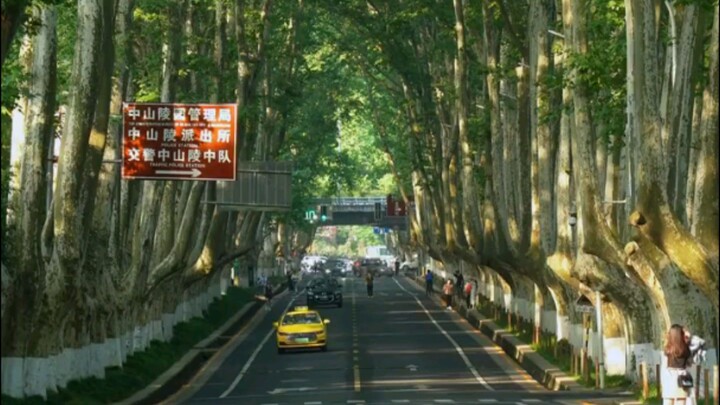 【南京大道 - Dalu Nanjing】