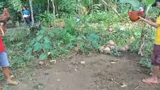 Partida kana tare bulag pa isang mata binabae kalaban