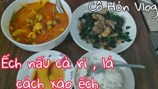 #Ếch nấu cà ri , lá cách xào ếch #CôHỏnVlog