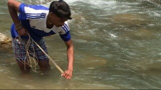 cast net fishing in Nepal | himalayan trout fishing in Nepal | asala fishing |