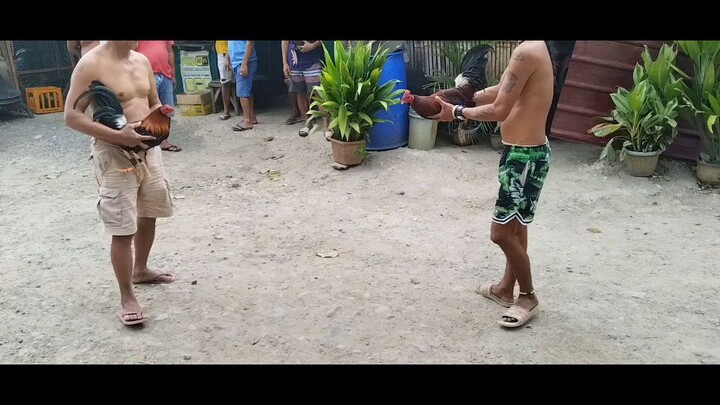 Malas putol ang "TARI"