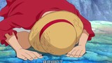 Vua Hải Tặc: Năm cú đấm hay nhất của Luffy để giải tỏa cơn giận, bốn cú đấm dạy anh ta cách làm ngườ