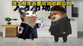 当大专生去面试北大职位时