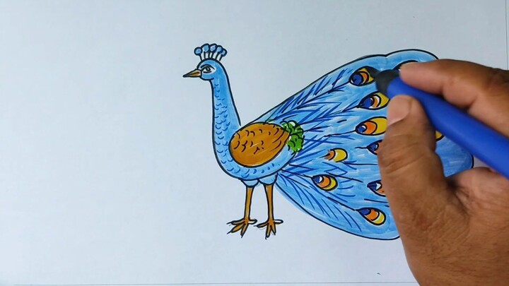 সহজে ময়ূর পাখি আঁকা শিখুন ৮ দিয়ে। ৮ দিয়ে ময়ূর পাখি আঁকা। Easy peacock drawing. D