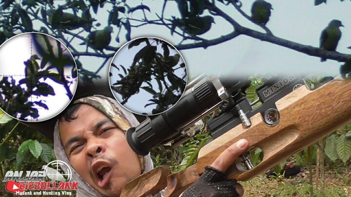 Punai diPuncak Bukit masih dengan Minion