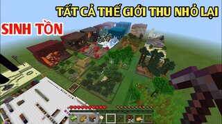 THỬ THÁCH SINH TỒN Tất Cả Mọi Thứ Trong Thế Giới Thu Nhỏ lại #1 Trong Minecraft