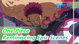 [One Piece] Reminiscing Epic Scenes, to Our Youth