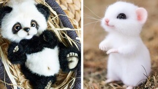 Wow สัตว์ SOO น่ารัก! AWW Cutest baby animals Videos Compilation Cute โมเมนต์ของสัตว์ 3