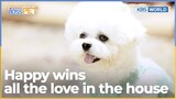 [Boss Pet : EP.2-3] HAPPY wins all the love in the house  | KBS WORLD TV 220902