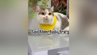 Có ai sai lầm như tui khum ? mèo cat