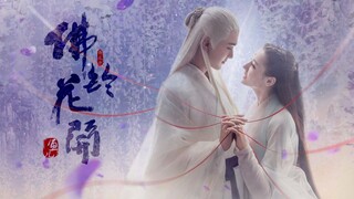 佛铃花开——【枕上书】【迪丽热巴】【高伟光】