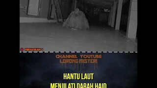 HANTU LAUT JILAT PEMBALUT WANITA #shorts