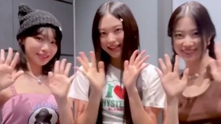 炽鲸联动！Haerin+金采源-中村一叶蓝胡子舞蹈！
