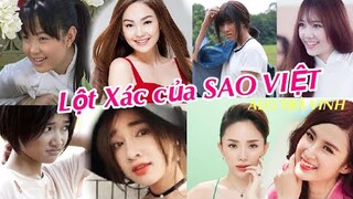 Hành trình lột xác của các Sao Việt, từ cô bé trở thành các đại mỹ nhân của làng giải trí Việt