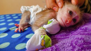 Good Boy!! Tiny Luca is more satisfied with a mini mitten, He keeps calm let Mom comfort him