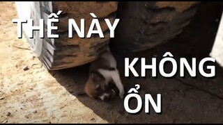 KÊNH YOUTUBE NÀY LÀ BẤT HỢP PHÁP !